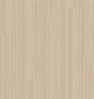 Carvalho Studio